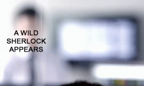 Benedict Cumberbatch A Wild Sherlock Appears GIF - Benedict Cumberbatch A  Wild Sherlock Appears Sherlock Holmes - Discover & Share GIFs